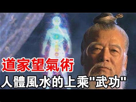 觀氣|【觀氣】一窺「氣」的神秘：觀氣法揭開健康、運勢與面相的秘密。